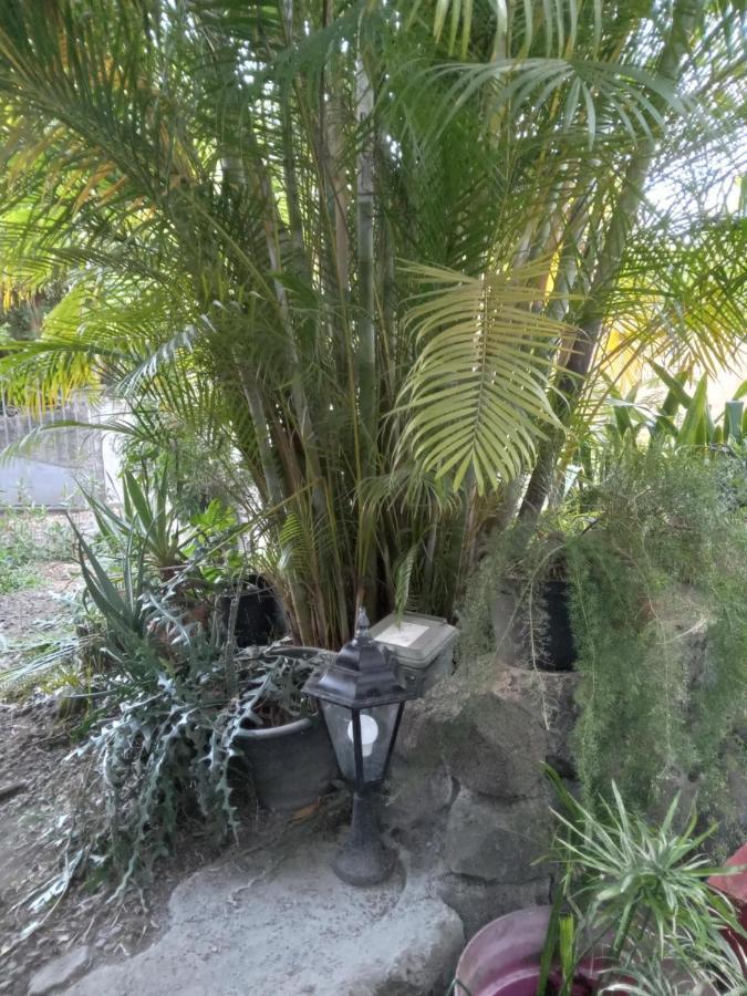 サン・ル Le Jardinヴィラ エクステリア 写真